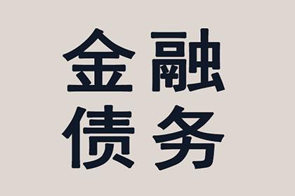 无赔偿能力诉讼困境应对策略
